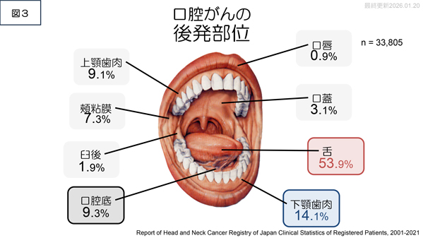日本における口腔・咽頭がんの死亡者数③