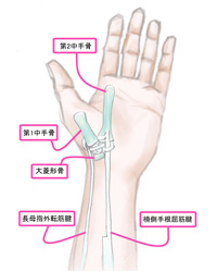 関節形成術①