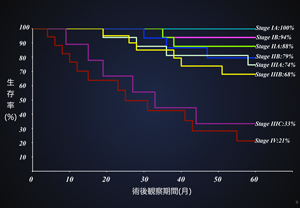 胃がん　5年生存率（2005年～2017年）