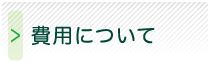 費用について